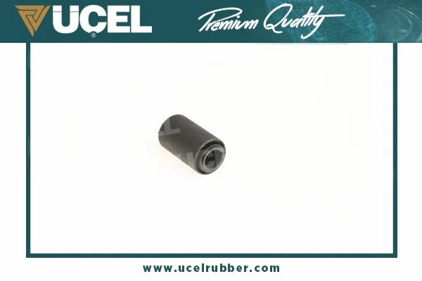 Mounting, control/trailing arm