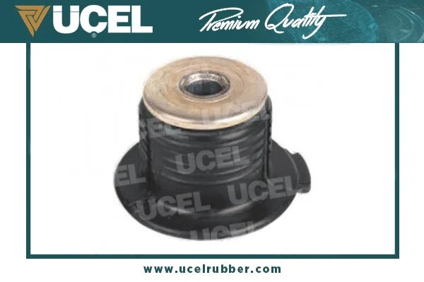Bushing, axle beam (10410)