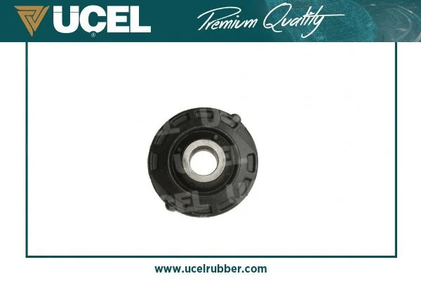 Mounting, control/trailing arm