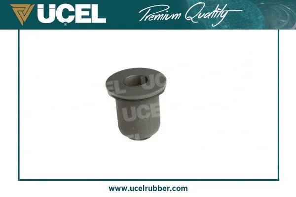 Mounting, control/trailing arm