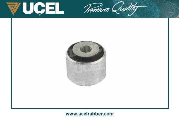 Mounting, control/trailing arm (99172)