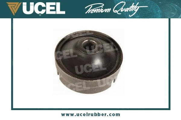 Alternator Freewheel Clutch (20313)