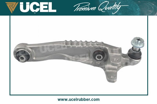 Control/Trailing Arm, wheel suspension (79110)