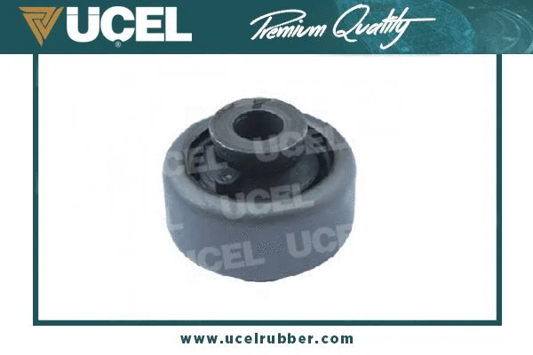 Mounting, control/trailing arm (10968)