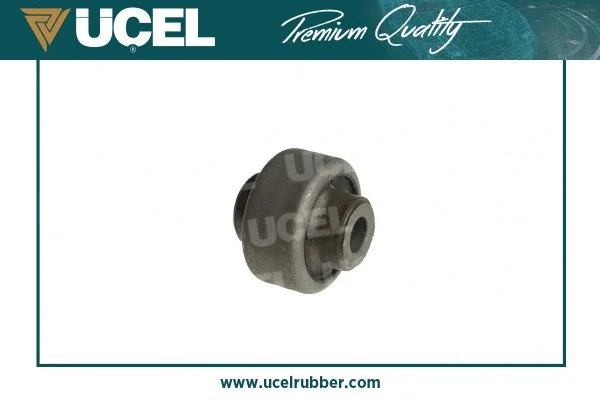 Mounting, control/trailing arm