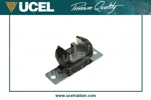 Mounting, engine