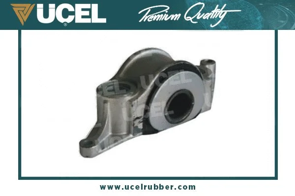 Mounting, control/trailing arm (31447)