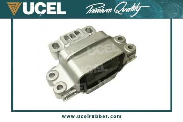 Mounting, engine (61213)