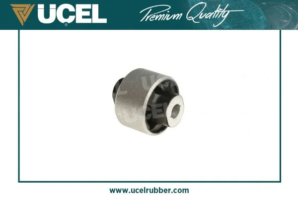Mounting, control/trailing arm