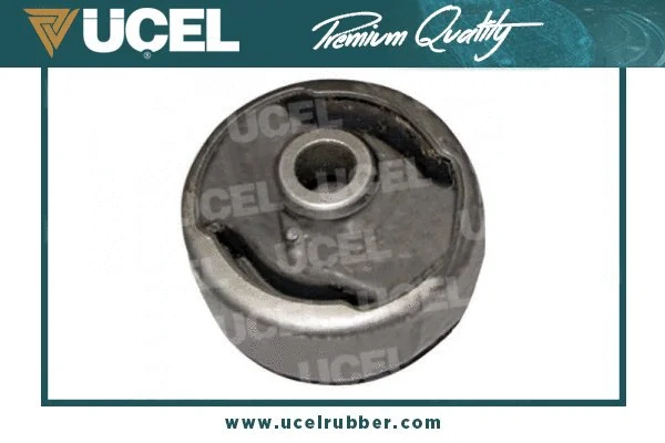 Mounting, control/trailing arm (20161)