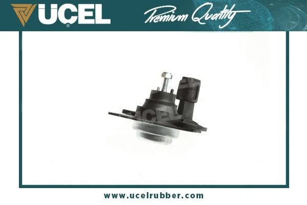 Mounting, engine