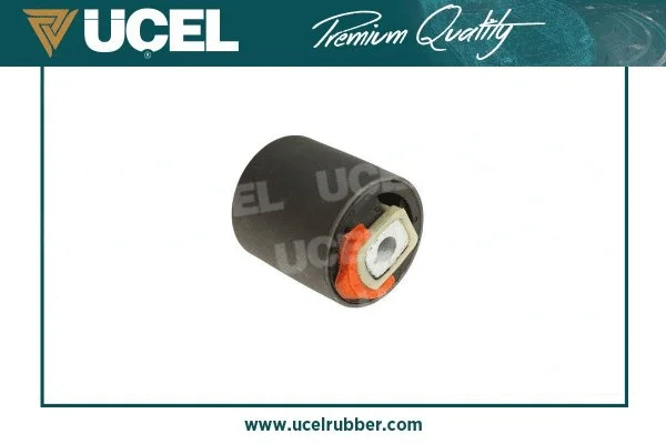 Mounting, control/trailing arm