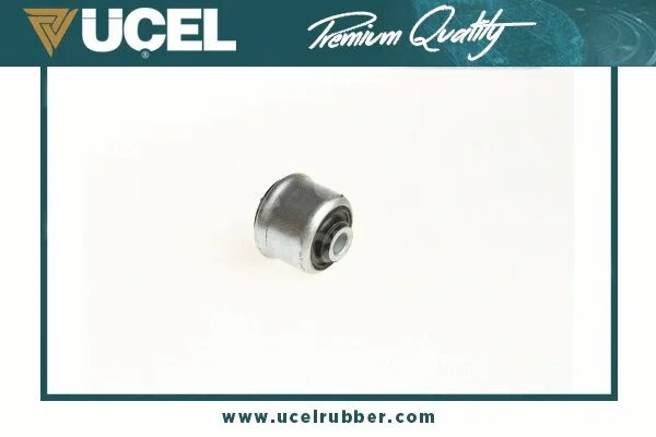 Mounting, control/trailing arm