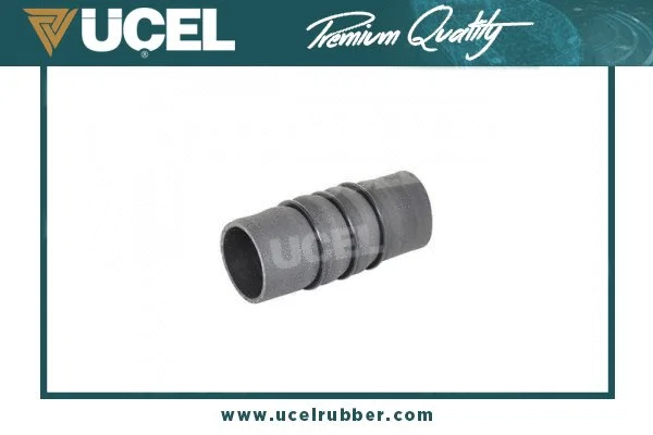 Charge Air Hose (52117)