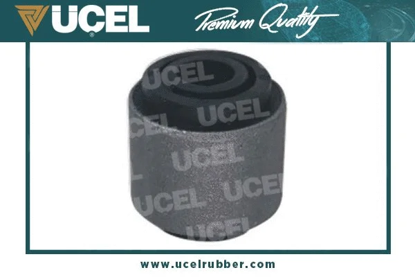 Mounting, control/trailing arm (10152)