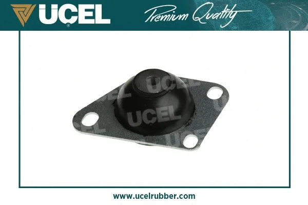 Mounting, engine