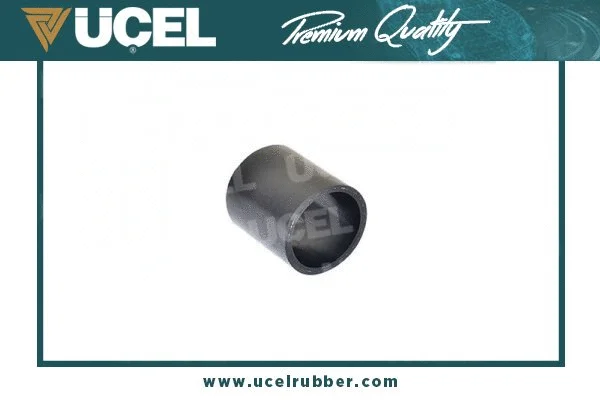 Charge Air Hose (65401)