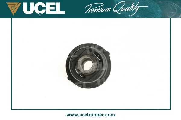 Mounting, control/trailing arm