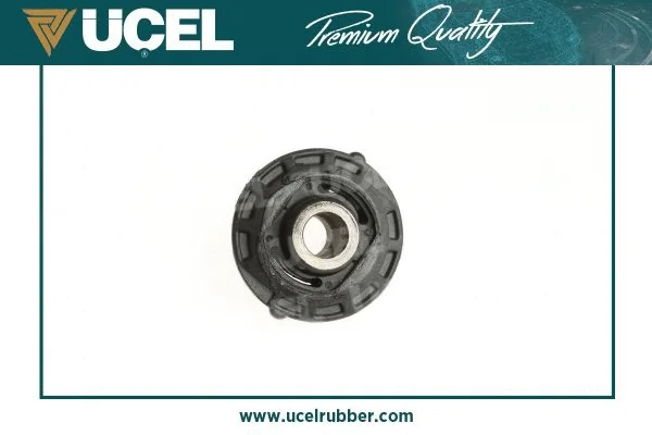 Mounting, control/trailing arm