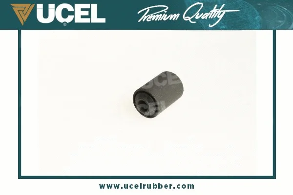 Mounting, control/trailing arm