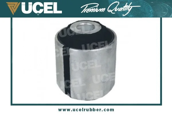 Mounting, control/trailing arm (61114)