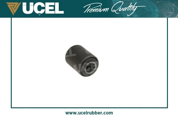 Mounting, control/trailing arm