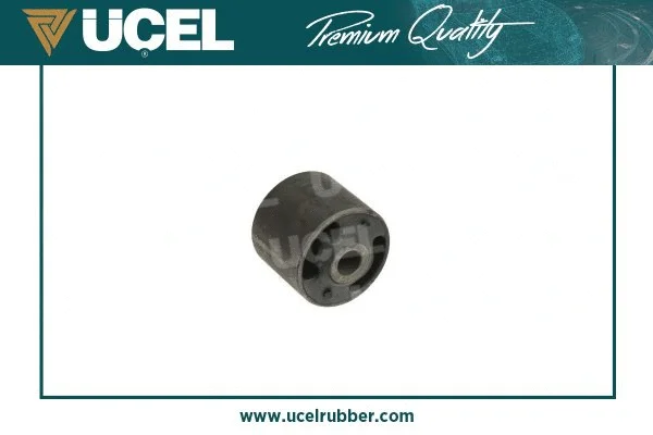 Mounting, control/trailing arm