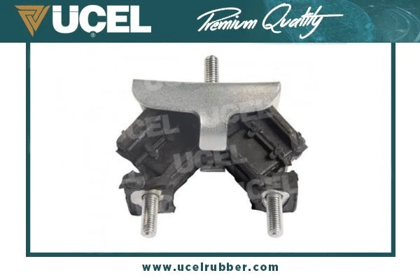 Mounting, engine (10456)