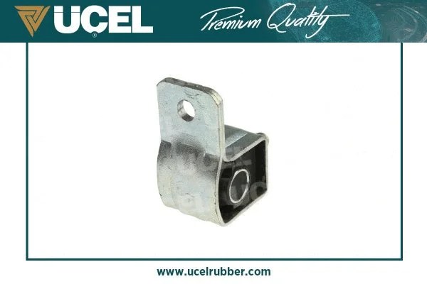 Mounting, control/trailing arm