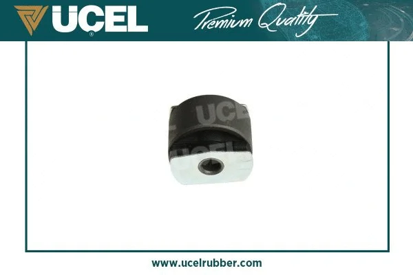 Mounting, control/trailing arm