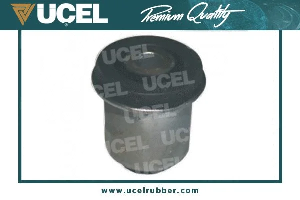 Mounting, control/trailing arm (10508)