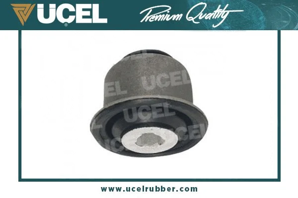 Mounting, control/trailing arm (10478)