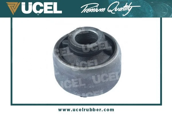Mounting, control/trailing arm (10816)