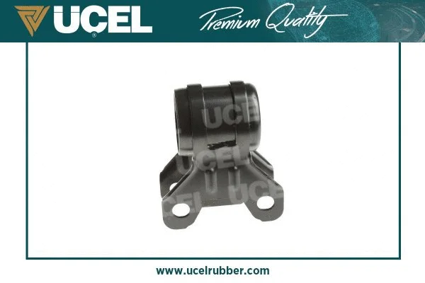 Mounting, control/trailing arm