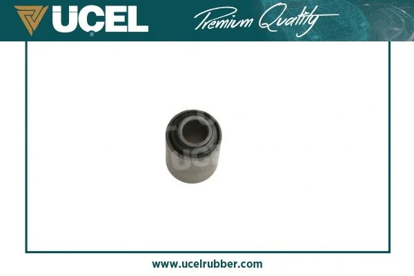 Mounting, control/trailing arm