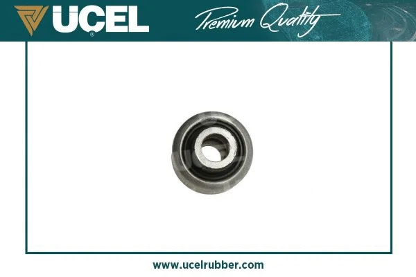 Mounting, control/trailing arm