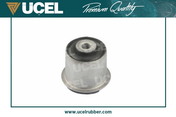 Mounting, control/trailing arm (99145)