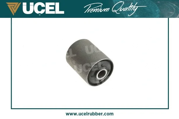 Bushing, leaf spring
