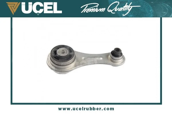 Mounting, engine (10480)