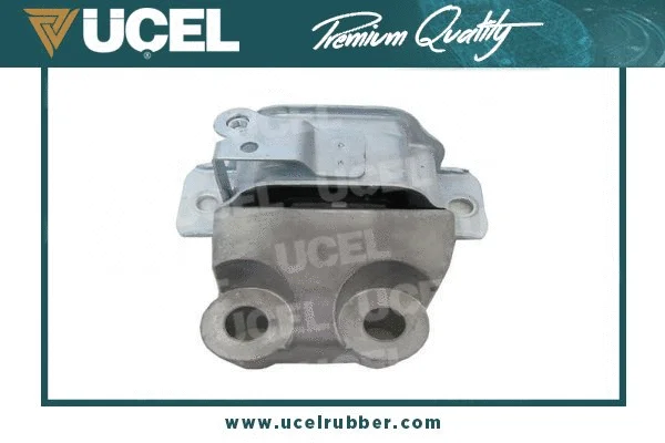 Mounting, engine (31621)