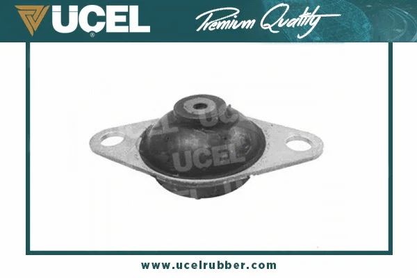Mounting, engine (30383)