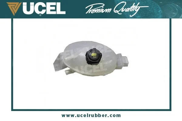 Expansion Tank, coolant (10895)