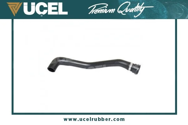 Radiator Hose (21144)