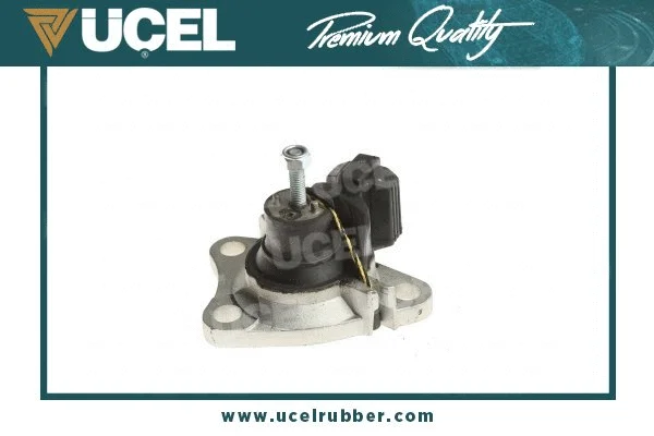 Mounting, engine