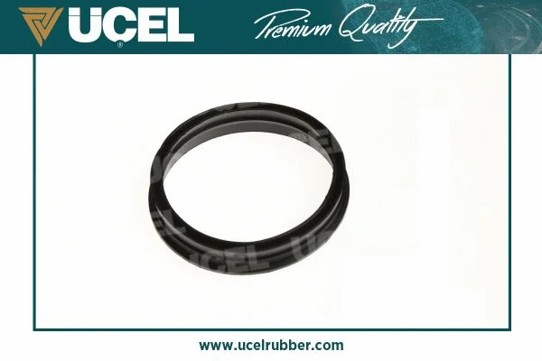 Seal, fuel sender unit (65255)