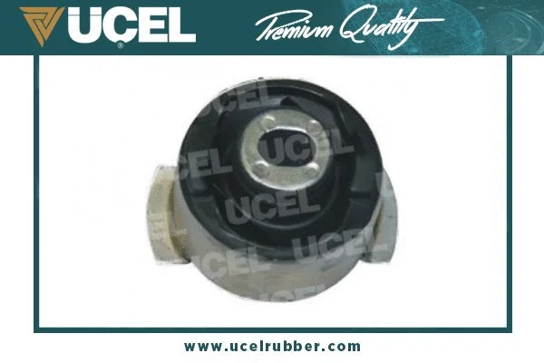Bushing, axle beam (10822)