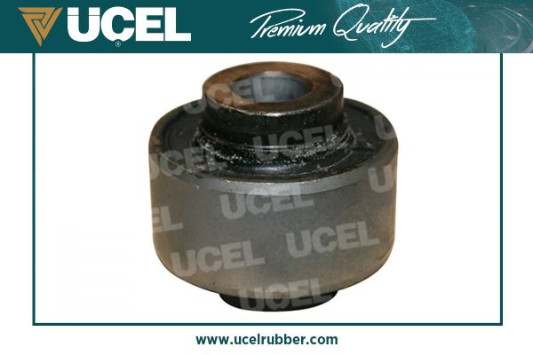 Mounting, control/trailing arm (77111)