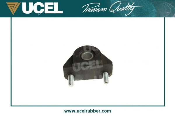 Mounting, control/trailing arm