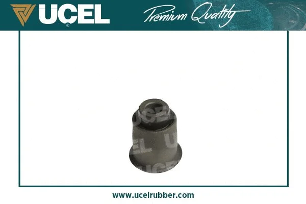 Mounting, control/trailing arm