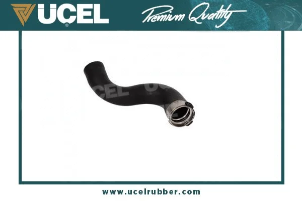 Charge Air Hose (15931)